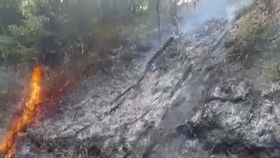 VIDEO Case amenințate de flăcări. Incendiile de vegetație sunt din ce în ce mai dese